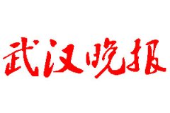 武漢晚報登報公告_武漢晚報刊登公告